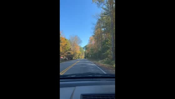 Autumn drive through colorful trees in Saratoga Springs, USA