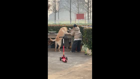 Girl helps dog drink water in Jiangsu, China