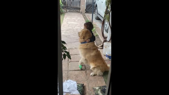 Heartwarming moment: Gaucho comforts injured dog with a tender hug 
