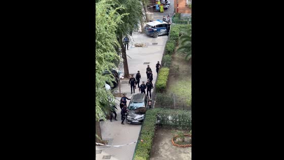 Police attempt to corner wild boar in Madrid's Puente de Vallecas