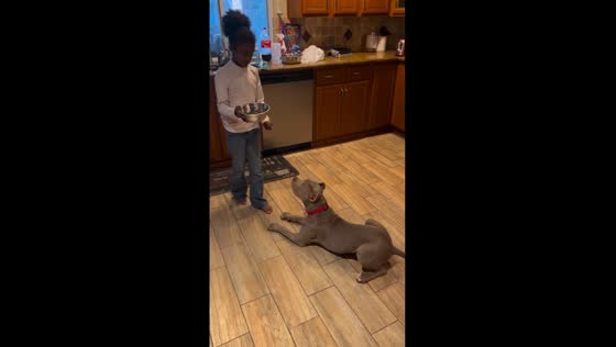 Sit, stay, eat! child trains dog with impressive results