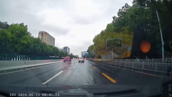 Driver rescues puppy stranded in middle of road in Shanghai, China