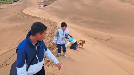 Dog keeps woman from standing up in Ningxia, China