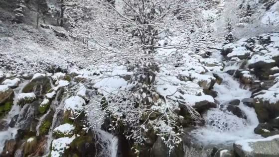 Rare late-spring snowfall and thaw hit Vallter mountains in Catalonia, Spain