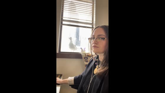 Noisy seagull demands attention in Seattle, Washington State