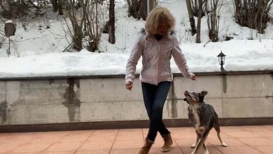 Woman and dog perform synchronized dance routine outdoors in Switzerland