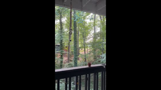 Shots ring out near CDC and Emory, with gunfire and sirens filling the air in Atlanta, USA