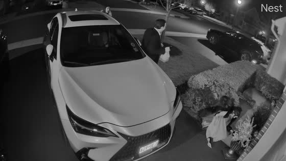 Woman falls into bushes after night out in Monmouth, New Jersey, USA