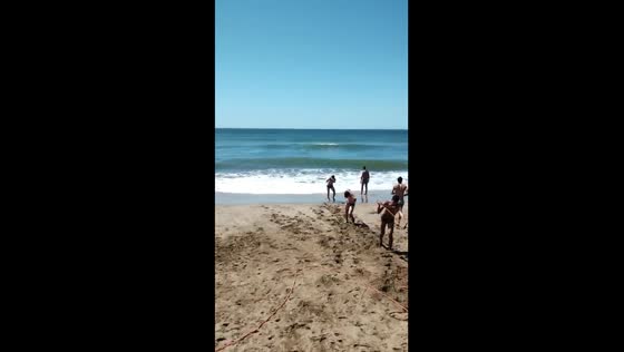 Heroic lifeguards employ winch to rescue drowning swimmer in Villa Gesell, Argentina