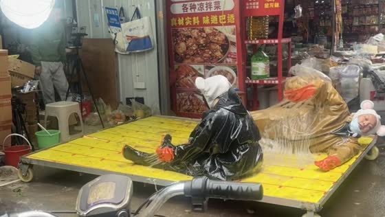 Vendors in mouse costumes promote sticky boards at market in Sichuan, China