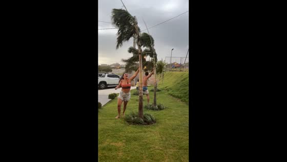 Couple tries to save tree from strong wind in Adamantina, Brazil
