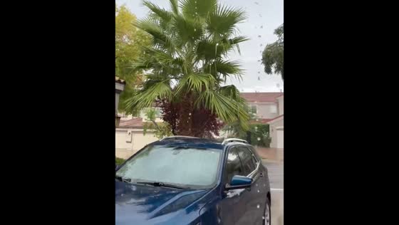 Thunderstorm with lightning and heavy rain in Henderson, Nevada