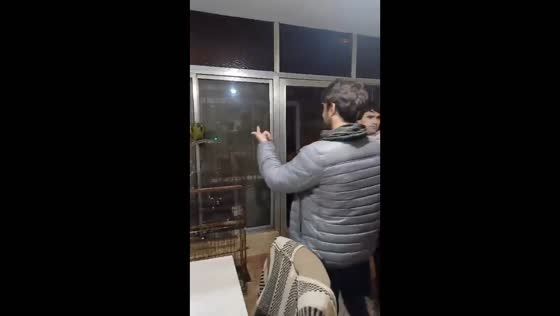Video shows parrot reacting aggressively to friend's hand waving