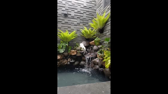 Cat narrowly avoids falling into pond in Yogyakarta, Indonesia