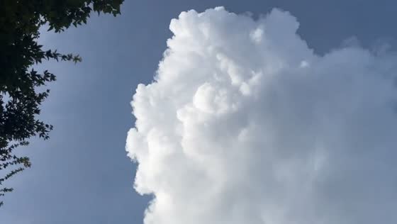 Peaceful clear day with clouds and birds in Hueytown, Alabama