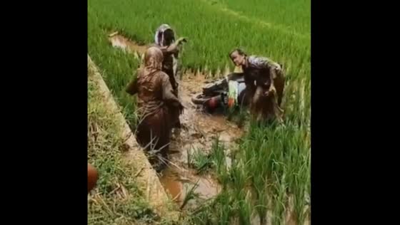 Motorcycle riders fall into a paddy field of mud