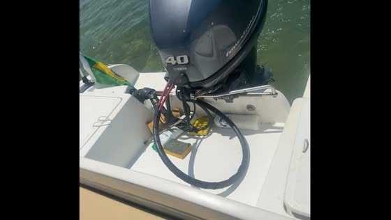 Animal resembling a lizard climbs boat in Paraty, Brazil