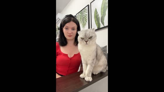 Kyiv cat Zephyr caught on camera in angry stare