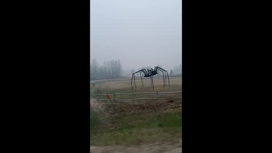 Giant VW bug spider creeps through Grande Prairie fog