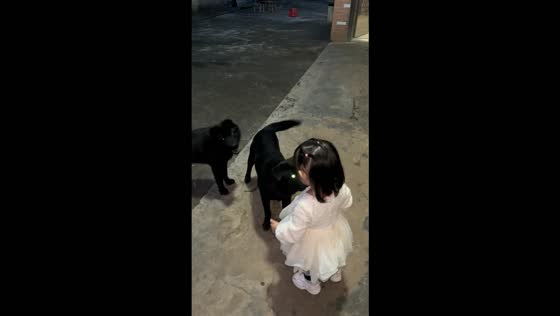 Little girl warms up to two black dogs and enjoys their affection in Hunan, China