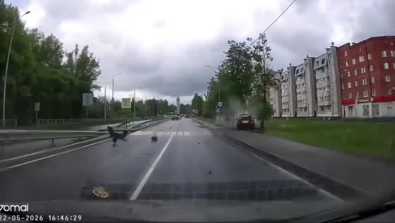 Speeding car crashes into tree on wet road in Kirishi, Leningrad, Russia
