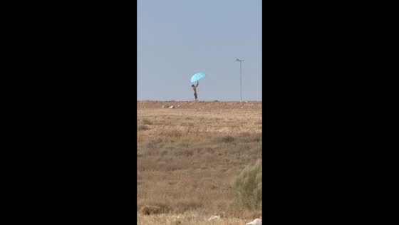 Man struggles with umbrella in windy desert field in Monegros, Aragon, Spain