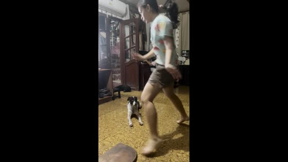 Dog unimpressed by sister's dance in San Pedro, Laguna, Philippines