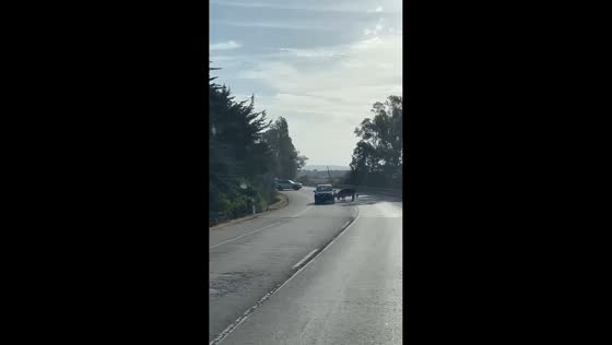 Cow attacks vehicles and blocks road in Medina-Sidonia, Spain