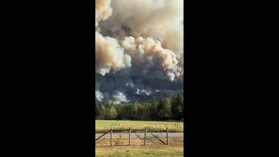 Bald Range Wildfire spreads rapidly near Summerland, Canada