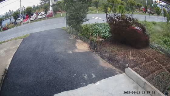Red car crashes off road into garden caught on security video in Henan, China