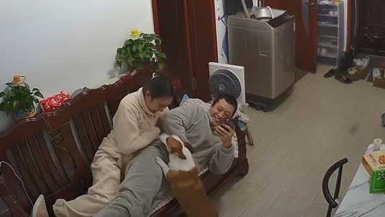 Corgi finds owner playing hide and seek in Liaoning