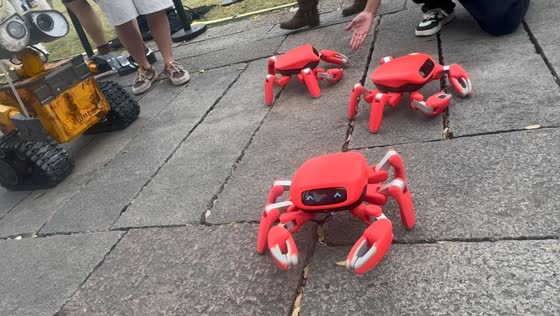 Tiny crab robots dance alongside WALL-E in Zhejiang, China