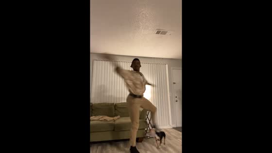 Dancer accidentally kicks dog in head in Nashville, Tennessee