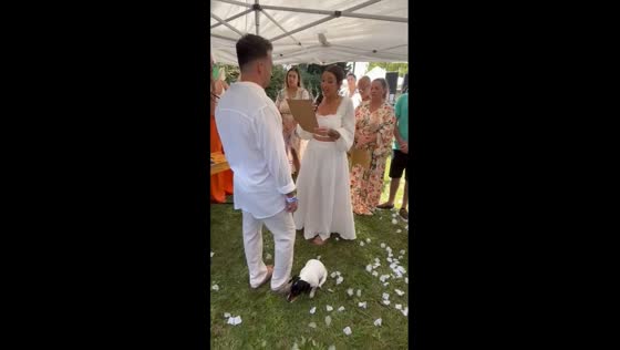 Dog's unique contribution to wedding ceremony: scratching its butt during vows