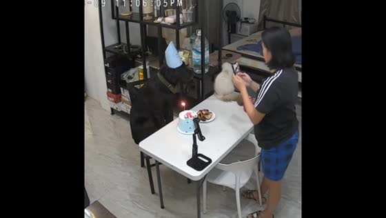 Birthday celebration for dog melts hearts in Misamis Oriental, Philippines
