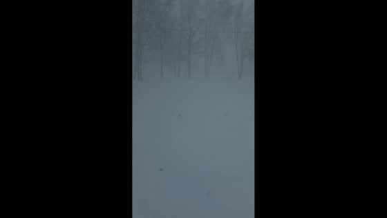 Bomb cyclone blankets Kincheloe in heavy snow in Michigan, USA