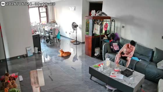 Lighter flare startles man and dog inside home in Henan, China