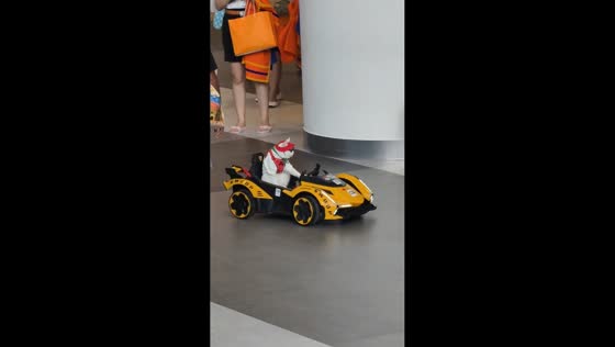 Cat cruises in mini Ferrari at Pet Expo Championship 2025 in Bangkok, Thailand