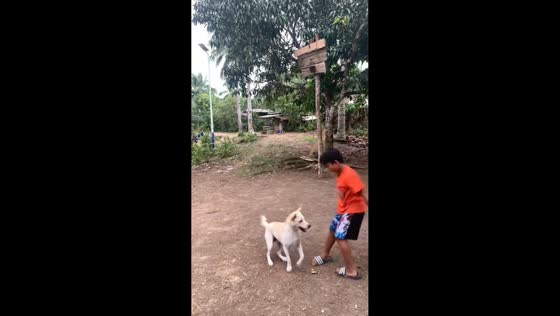 Dog playfully “plays basketball” with boy in Davao, Philippine