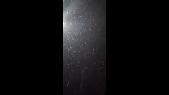 Light snow falling in Nicholasville, Kentucky, USA