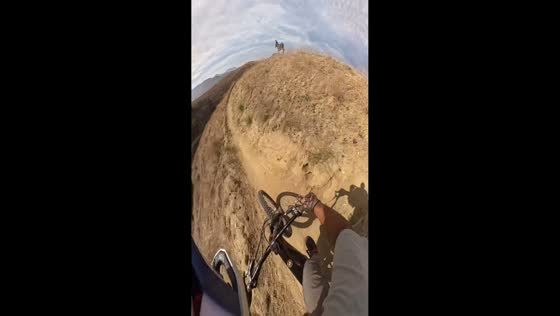Mountain bikers encounter fast-running donkey in Loma Linda, California, USA