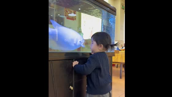 Child startled by fish at aquarium in Guangdong