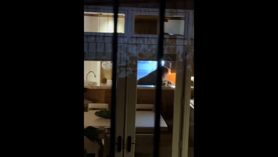 Bear rummages through neighbor’s house at night in Aspen, Colorado, USA