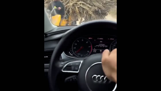 Driver's frustration turns to surprise after wood hits windshield in Henan