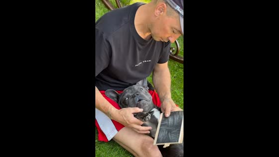 Dog growls playfully during claw scratching in Ulyanovsk, Russia