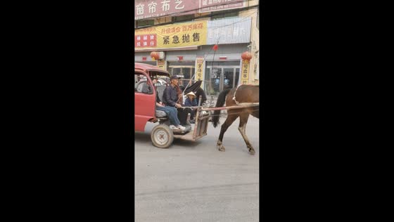 Horse pulls van body used as carriage in Hebei, China