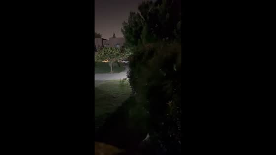 Man jumps out window and lands on plant in Río Cuarto, Córdoba, Argentina