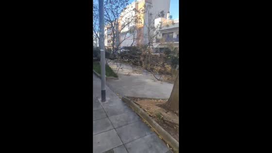 Storm Nils leaves fallen trees and damage in Terrassa, Barcelona, Spain
