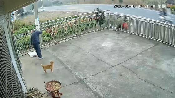 White car loses control and crashes off the road in Hunan, China
