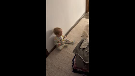 Baby laughs while playful dog runs around in Iași, Romania